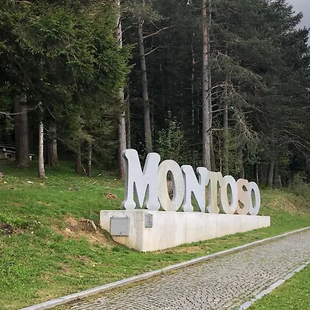 Апартаменты L'oasi Dei Larici - Montoso